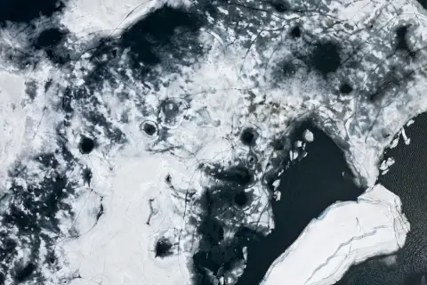 El hielo marino perdido de la Antártida: un área del tamaño de Francia no logra formarse
